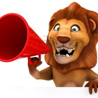 lionmega0017